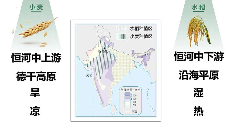 人教版地理七下第七章第三节印度（第2课时）课件PPT08