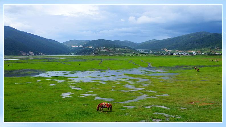 【新课标】人教版地理八年级下册5《中国的地理差异》课件+教案05