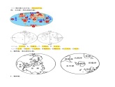 1.1  地球的自转和公转（第1课时）（早读背诵清单）-2024-2025学年八年级地理上册同步精品课件+早读背诵清单+分层练习（中图版）