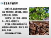 7.1 香港特别行政区的国际枢纽功能 - 八年级地理下册同步教学精品课件（湘教版）