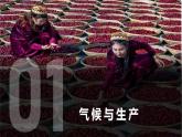 2.3 氣候與人類生活（課件）-2024-2025學年八年級上學期同步精品課件+分層作業(yè)（中圖版）