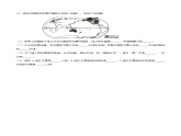 4.1国家和地区（练习）-2024-2025学年八年级上学期同步精品课件+分层作业（中图版）