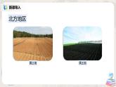 人教版（新课标）八年级地理下册：7.1《自然特征与农业》课件