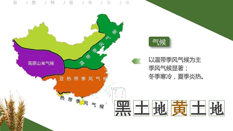 人教版初中地理八下6.1 自然特征与农业 课件+教案04