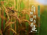 人教版初中地理八下7.1 自然特征與農(nóng)業(yè) 課件+教案