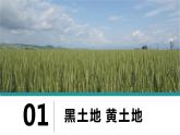 人教版地理八年级下册 6.1自然特征与农业 同步课件+同步教案