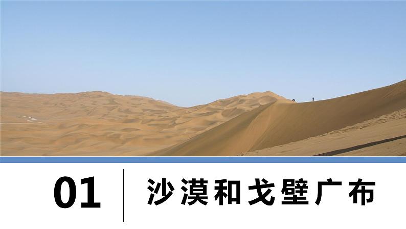 人教版地理八年级下册 8.2塔里木盆地 同步课件+同步教案05