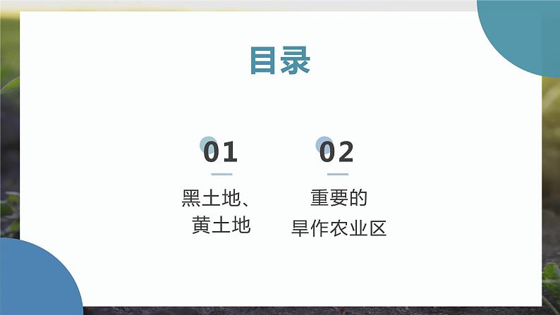 6.1 北方地区的自然特征与农业 (课件)-2023-2024学年八年级地理下学期人教版第4页