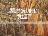 6.3 世界最大的黄土堆积区——黄土高原 (课件)-2023-2024学年八年级地理下学期人教版