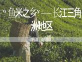 7.2 ”鱼米之乡“—长江三角洲地区 (课件)-2023-2024学年八年级地理下学期人教版