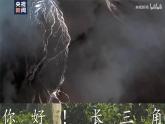 7.2 ”鱼米之乡“—长江三角洲地区 (课件)-2023-2024学年八年级地理下学期人教版