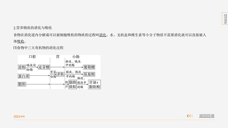 专题1　人体的生命活动第8页