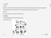 【全套精品专题】初中·地理 复习专题八上 课件精讲  专题1　生物的生殖和发育