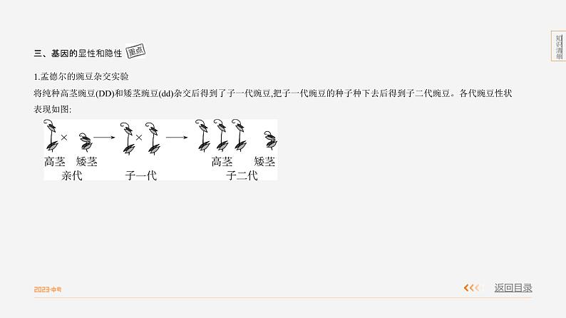 专题2　遗传和变异第4页