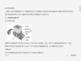 【全套精品专题】初中·地理 复习专题八上 课件精讲 专题2　绿色植物的生理活动