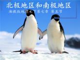 湘教版地理七年级下册  第五节 北极地区和南极地区 (2) 课件