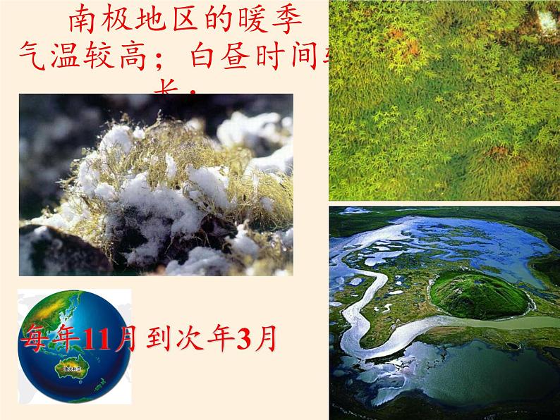 湘教版地理七年级下册  第五节 北极地区和南极地区 (2) 课件第7页