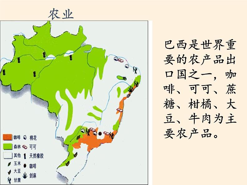 湘教版地理七年级下册  第八章 第六节 巴西(15) 课件08