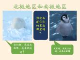 湘教版地理七年级下册  第五节 北极地区和南极地区(3) 课件