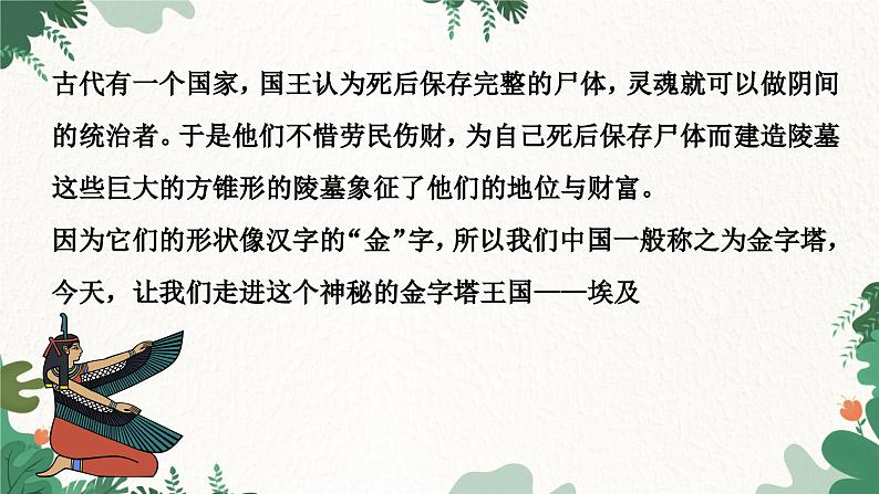 湘教版地理七年级下册 8.2 埃及课件第3页