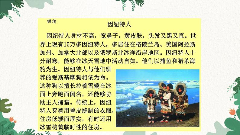 湘教版地理七年级下册 7.5 极地地区课件07