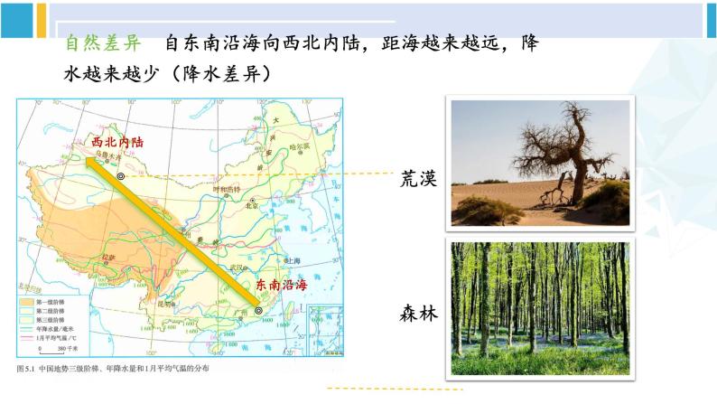 人教版八年级地理下册 第五章 中国的地理差异 第五章 中国的地理差异（课件）06
