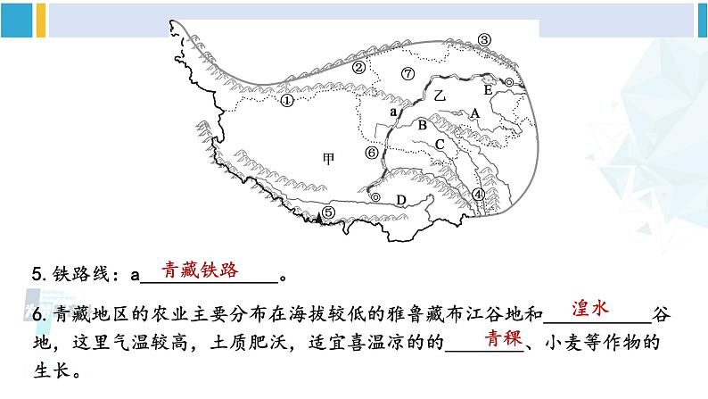 人教版八年级地理下册 第九章 青藏地区 第九章综合复习（课件）第5页