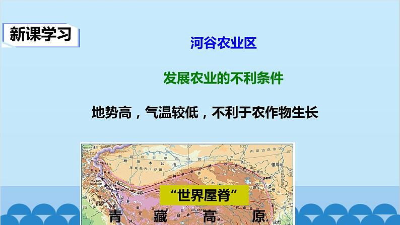 人教版地理八年级下册 第九章第一节自然特征与农业课件05