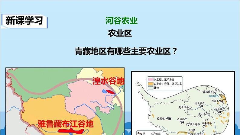 人教版地理八年级下册 第九章第一节自然特征与农业课件06