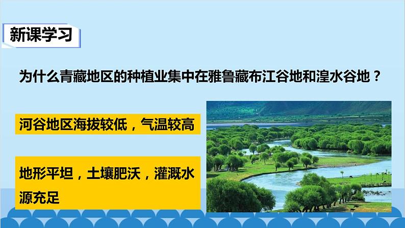 人教版地理八年级下册 第九章第一节自然特征与农业课件07