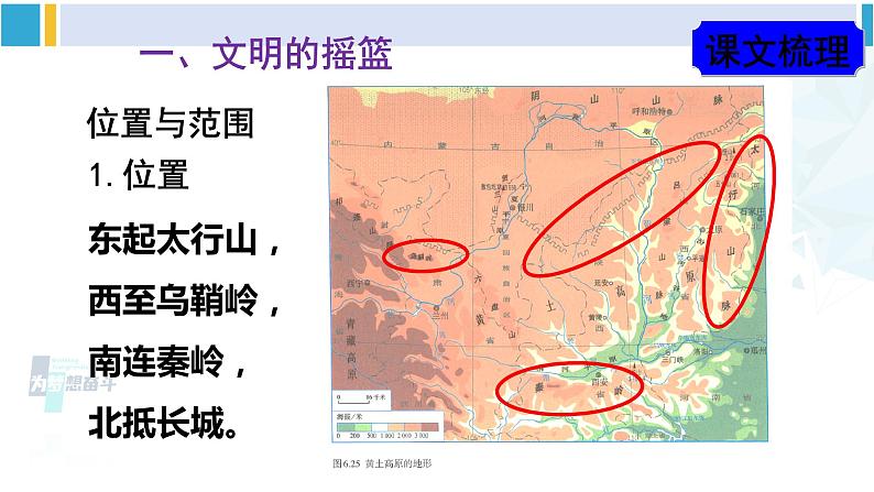 人教版八年级地理下册 第六章 北方地区 第三节 世界最大的黄土堆积区——黄土高原（课件）第3页