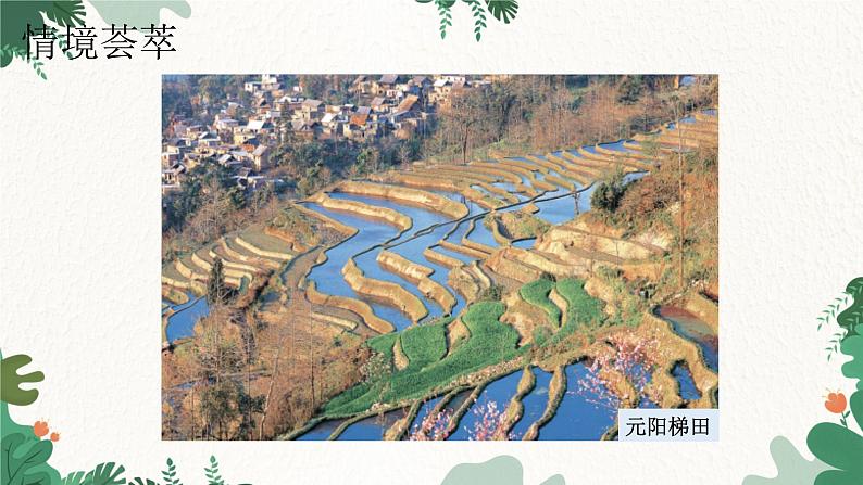 人教版地理八年级下册 7.1 自然特征与农业课件第2页