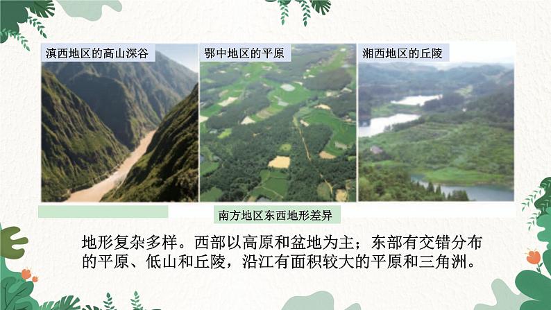 人教版地理八年级下册 7.1 自然特征与农业课件第5页