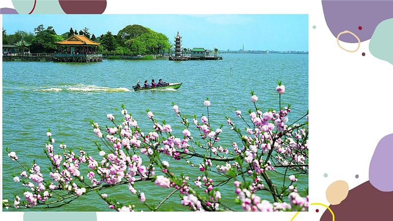 湘教版地理八年级下册 第7章 第4节 长江三角洲的内外联系课件第5页