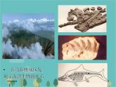 湘教版地理七年级上册 第二章第四节《海陆变迁》课件3