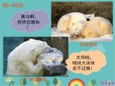 湘教版地理七年级上册 第四章第二节《气温和降水》课件1