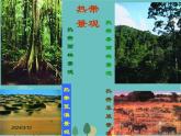 湘教版地理七年级上册 第四章第四节《世界主要气候类型》第三课时课件