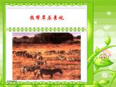 湘教版地理七年级上册 第四章第四节《世界主要气候类型》第一二课时优质课件