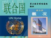 湘教版地理七年级上册 《重要的国际组织》课件(5)