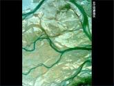 湘教版地理八年级上册 2.3.1 中国的河流课件