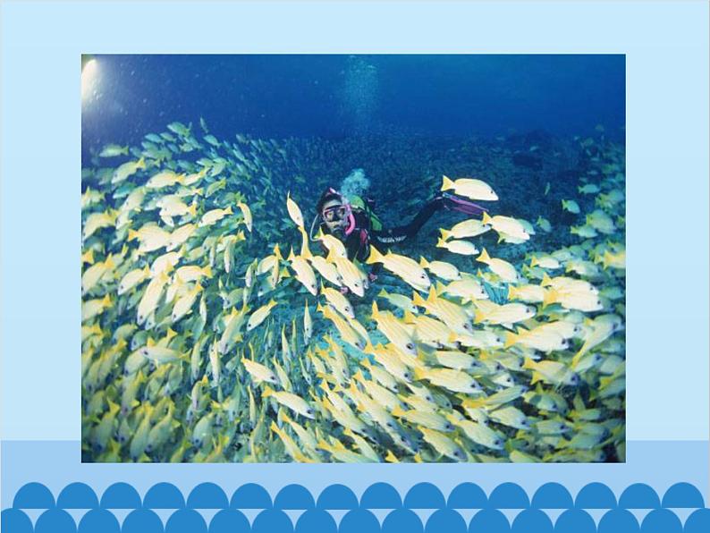 湘教版地理八年级上册 3.1 自然资源概况课件第4页