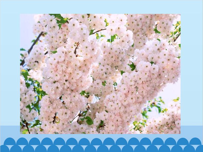 湘教版地理八年级上册 3.1 自然资源概况课件第5页