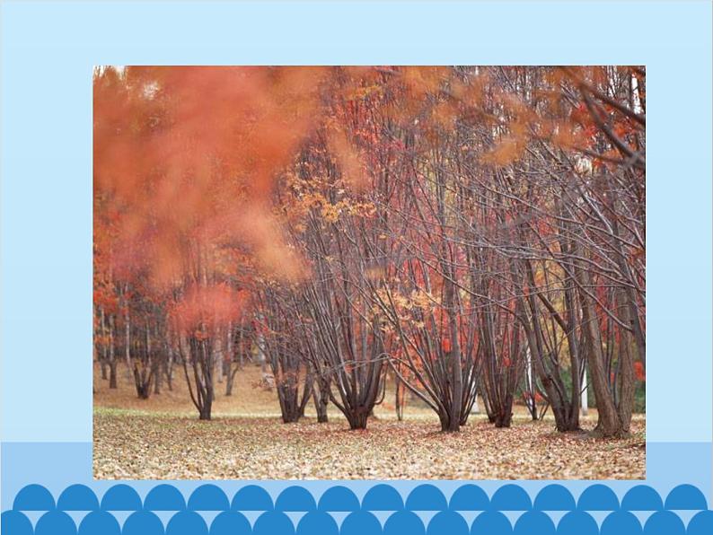 湘教版地理八年级上册 3.1 自然资源概况课件第6页