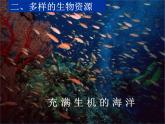 湘教版地理八年级上册 3.4 中国的海洋资源课件