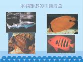 湘教版地理八年级上册 3.4 中国的海洋资源课件