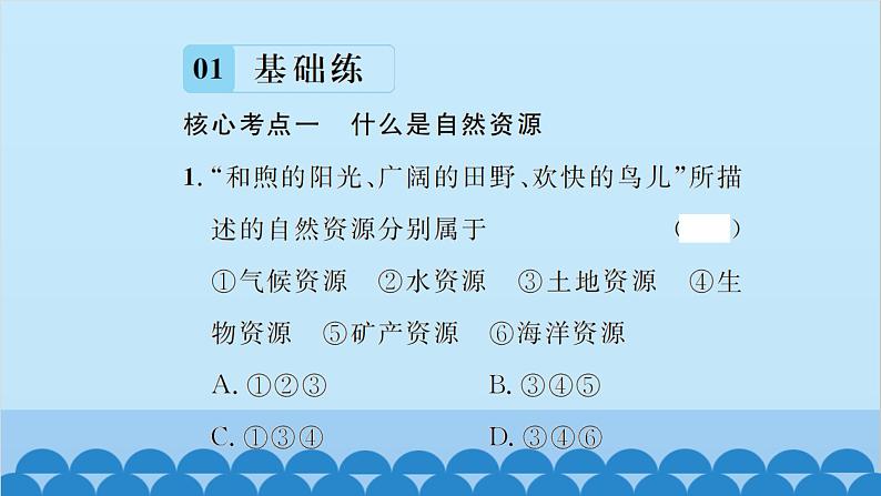 湘教版地理八年级上册 第3章第1节 自然资源概况习题课件06