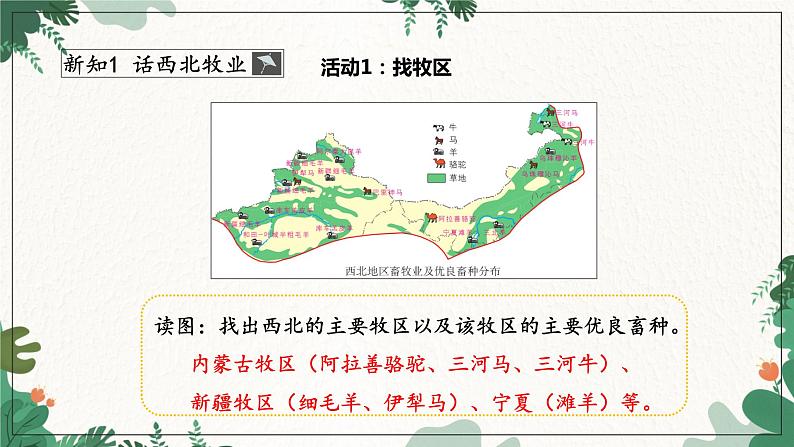 商务星球版地理八年级下册 第八章 第一节 区域特征2课件08