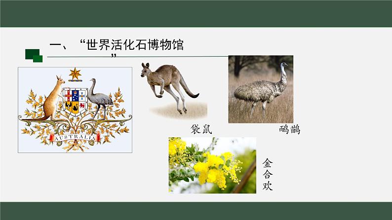 8.4澳大利亚课件2023-2024学年人教版七年级地理下册第4页