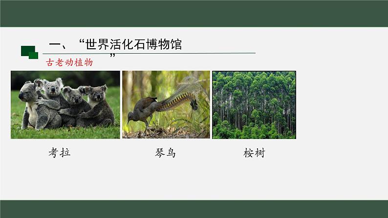 8.4澳大利亚课件2023-2024学年人教版七年级地理下册第5页