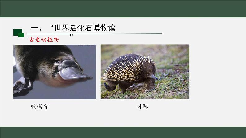 8.4澳大利亚课件2023-2024学年人教版七年级地理下册第6页